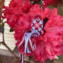 Pattern #25054 Photo