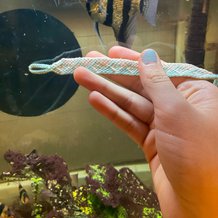 Pattern #25105 Photo