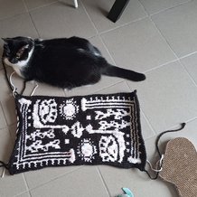 Pattern #174654 Photo