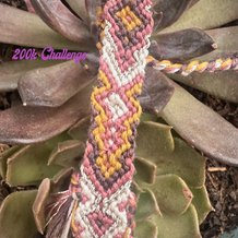 Pattern #161102 Photo