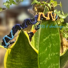 Pattern #199677 Photo