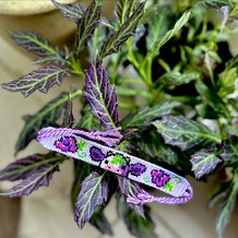 Pattern #133699 Photo