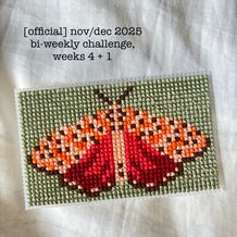 Pattern #201412 Photo