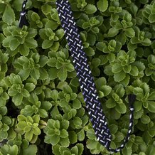 Pattern #54292 Photo