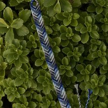 Pattern #128516 Photo