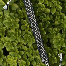 Pattern #108788 Photo