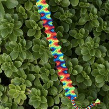 Pattern #126465 Photo