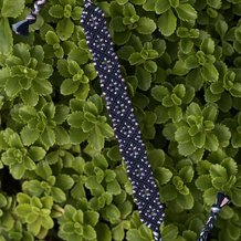 Pattern #34612 Photo