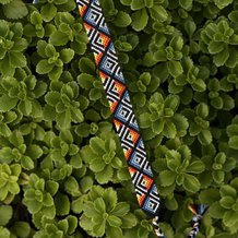 Pattern #33677 Photo