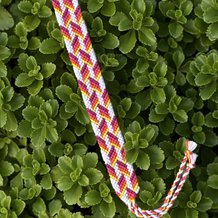 Pattern #31210 Photo