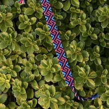 Pattern #25874 Photo