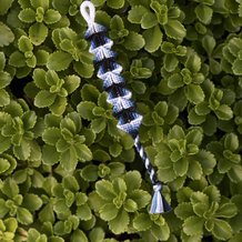 Pattern #31180 Photo