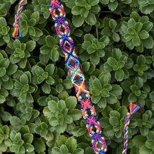 Pattern #70858 Photo