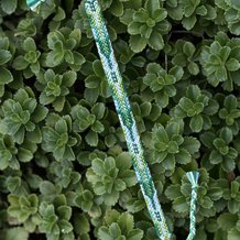 Pattern #194290 Photo