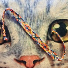 Pattern #59485 Photo