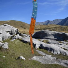 Pattern #81418 Photo