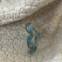 Pattern #189397 Photo