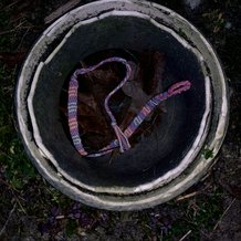 Pattern #28937 Photo