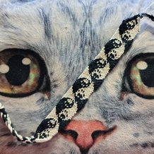 Pattern #37109 Photo