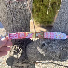 Pattern #135478 Photo