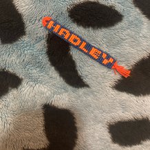 Pattern #47975 Photo