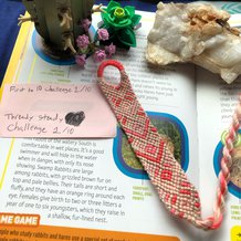 Pattern #59759 Photo