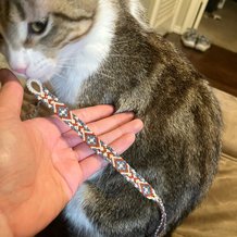 Pattern #188214 Photo