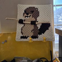 Pattern #32263 Photo