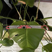 Pattern #201762 Photo