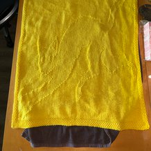 Pattern #197335 Photo