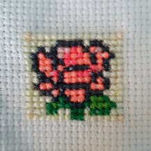 Pattern #136223 Photo