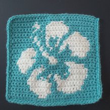 Pattern #42563 Photo