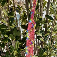 Pattern #52526 Photo