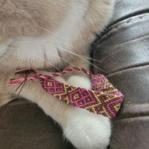 Pattern #130423 Photo