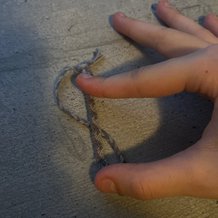 Pattern #17073 Photo