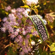 Pattern #57805 Photo