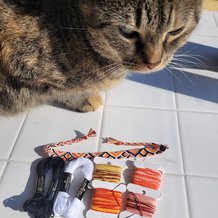 Pattern #199473 Photo