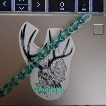 Pattern #190938 Photo