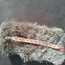 Pattern #142967 Photo