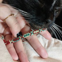 Pattern #153779 Photo