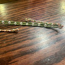 Pattern #76616 Photo