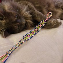 Pattern #145415 Photo