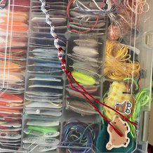 Pattern #97036 Photo