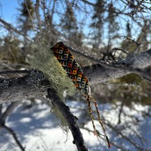 Pattern #160475 Photo