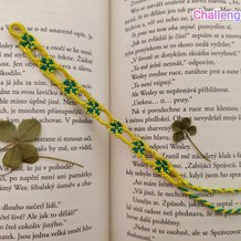 Pattern #196514 Photo