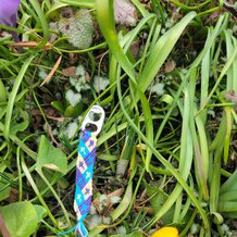 Pattern #153943 Photo