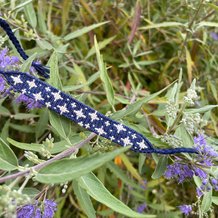 Pattern #99589 Photo