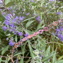 Pattern #61157 Photo