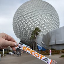 Pattern #170219 Photo