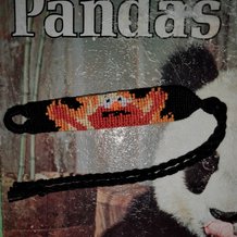 Pattern #27708 Photo